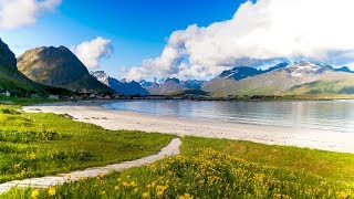 Uplifting Music  light positive happy music Gullrosøya  1 hour [upl. by Ylrbmik]