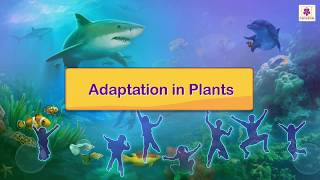 Adaptation In Plants  Science For Kids  Periwinkle [upl. by Ehtylb]