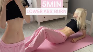 5MIN AB BURN WORKOUT FLAT STOMACH amp LOWER BELLY HOURGLASS AB WORKOUT [upl. by Ahsak]