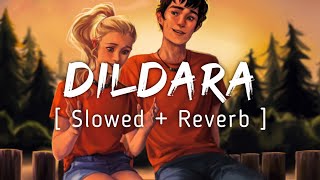 DILDARA  LoFiLyrics  Slowed And Reverb  Music Lyrics [upl. by Ayadahs]