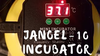 Janoel 10 Mini Incubator Review and Overview [upl. by Nellda]