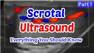 Scrotal Ultrasound Everything You Should Know part 1 [upl. by Nykal]