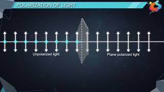 16  Class 12  Physics  Wave Optics  Polarisation [upl. by Moncear]