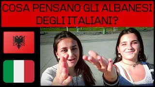 COSA PENSANO GLI ALBANESI DEGLI ITALIANI [upl. by Matilde]