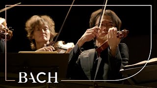 Bach  Orchestral Suite no 1 in C major BWV 1066  Sato  Netherlands Bach Society [upl. by O'Donnell]