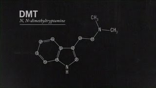 DMT Effects and Side Effects [upl. by Redan]