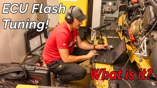 ECU Flash Tuning – What Is It [upl. by Femi]