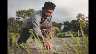 History of Agrarian Reform Philippines [upl. by Nelda579]