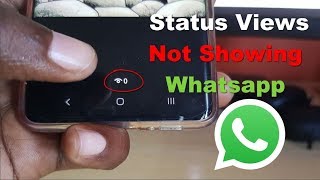 Status Views Not Showing Whatsapp Fix [upl. by Cusack820]