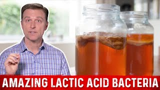 Lactic Acid Bacteria and Fermented Foods Benefits – DrBerg [upl. by Katlaps333]