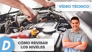 Cómo revisar los niveles del coche  aceite refrigerante frenos  Diariomotor [upl. by Masterson]