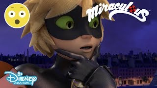 Miraculous Ladybug  Cat Noir Sees Marinette’s Transformation 😱  Disney Channel UK [upl. by Zebapda255]