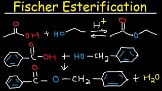 Fischer Esterification Reaction Mechanism  Carboxylic Acid Derivatives [upl. by Hgielram]