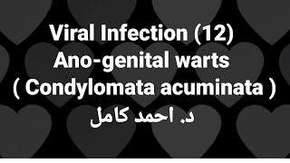 12 Anogenital warts  Condylomata acuminata  👉Viral Infection by Dr Ahmed Kamel [upl. by Eisenstark]