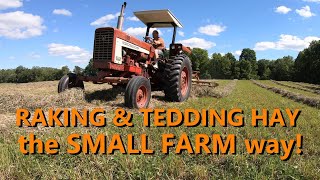 the basics of raking amp tedding hay [upl. by Ardaid]