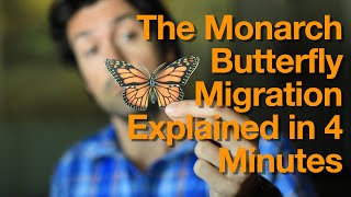 Monarch Butterfly Migration Explained in 4 Minutes [upl. by Joung]