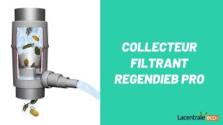 Collecteur filtrant REGENDIEB PRO à installer sur descente de chéneau  GRAF344202344203 [upl. by Mita]