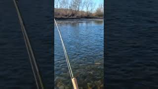 Spey Casting is SO Satisfying [upl. by Lubeck]