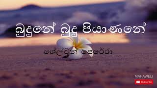 බුදුනේ බුදු පියාණනේ  Shelton Perera  Budune Budu Piyanane  Budu Guna Gee  Sinhala Buddhist Songs [upl. by Leftwich375]