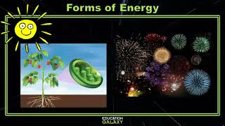 4th Grade  Science  Forms of Energy  Topic Overview [upl. by Ninehc325]