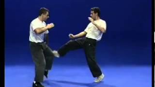 Tutorial Krav Maga Techniques [upl. by Haslett]