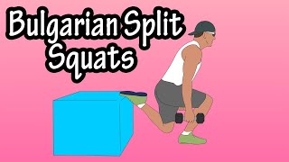 How To Do Bulgarian Split Squat Exercise For Beginners With Dumbbells Weights  Single Leg Squats [upl. by Eirelam653]