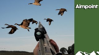 Massive Swedish Goose Hunt [upl. by Hopfinger]