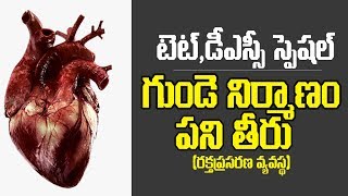 Biology  Heart functions amp blood circulation in Heart  Telugu [upl. by Coheman633]