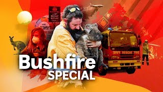 Bushfire Special  Behind the News [upl. by Clift]