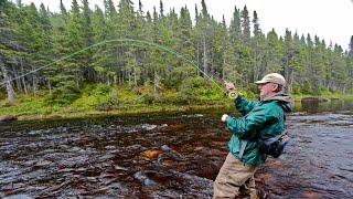 Steelhead amp Salmon on a Fly  How To [upl. by Burnley]