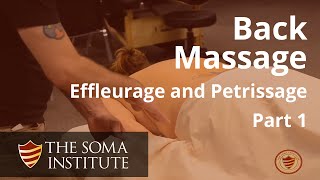 General Back Protocol Beginning Effleurage and Petrissage Techniques Part 1 [upl. by Arun]