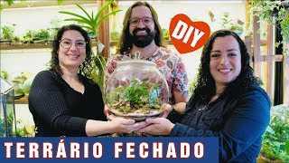 Como Fazer Um TERRÁRIO Versão Completa DIY  Terra Jardim [upl. by Sairu]