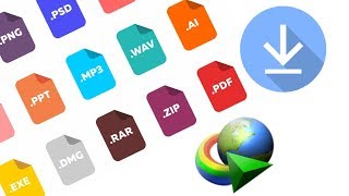 How to Download All Type Of File In IDM [upl. by Dlonra284]