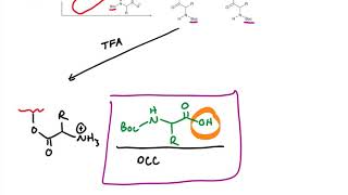 Solid Phase Peptide Synthesis [upl. by Gaut380]