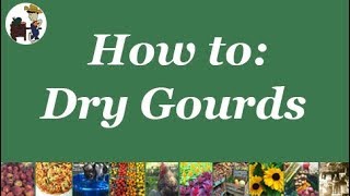 How to Preserve Gourds [upl. by Pitarys996]