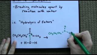 What is Hydrolysis  Examples [upl. by Land510]