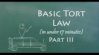 Understand Tort Law in 17 Minutes Part III [upl. by Betthezel529]