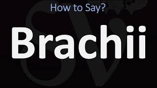 How to Pronounce Brachii CORRECTLY [upl. by Socram]