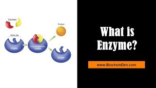 What are Enzymes Substrate and Product  BiochemDencom [upl. by Ahmad]