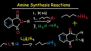 Amine Synthesis Reactions Organic Chemistry  Summary amp Practice Problems [upl. by Houston801]