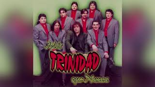 Grupo Trinidad  Disimula │ Cd Mas trinidad que nunca [upl. by Anyale]