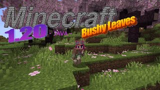 Minecraft Bushy Leaves 120 [upl. by Anirahtak174]