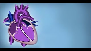 Fetal Circulation by L McCabe  OPENPediatrics [upl. by Meekah]