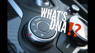 The DNA Driving Modes In The Alfa Romeo Giulia EXPLAINED [upl. by Ehlke135]