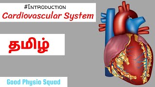 Physiology  Introduction to the Cardiovascular System in Tamil Lecture [upl. by Seton]