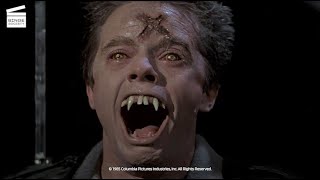 Fright Night 1985  Movie Review [upl. by Airretnahs]