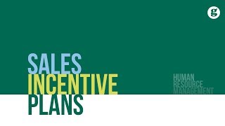 Sales Incentive Plans [upl. by Courtney]