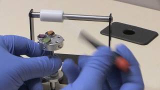 Preparing a Sample for Electron Microscopy [upl. by Esirehc]