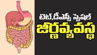 TET amp DSC Biology digestive system TELUGU [upl. by Bates130]