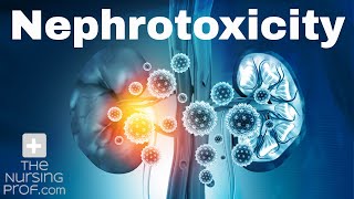 Renal Emergencies Nephrotoxicity [upl. by Gentes]